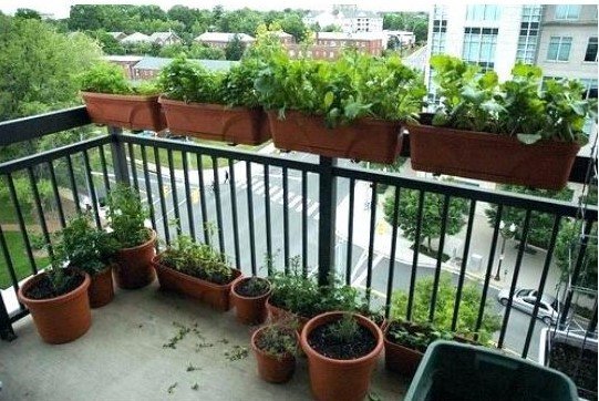 Decorating Your Indoor balcony: 6 ways to build a piece of nature at home!