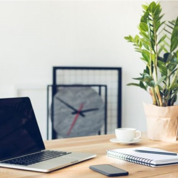 Some great ideas for computer table decoration with trees!